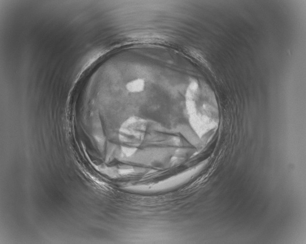 X0000059231071200511111542