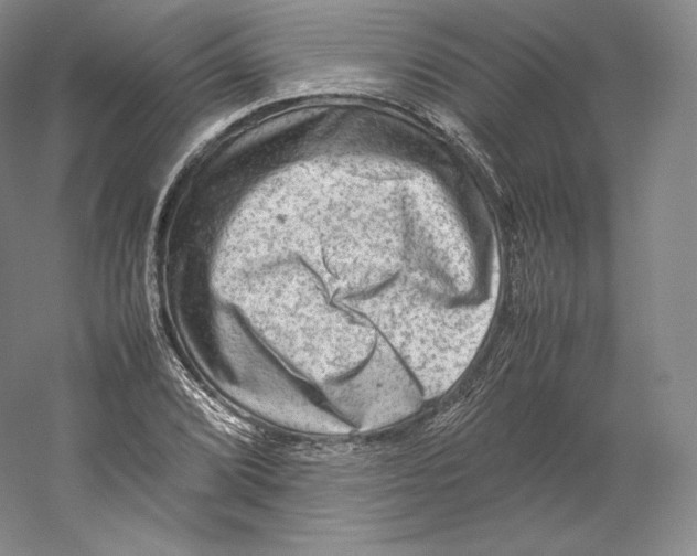 X0000059231072200511111542