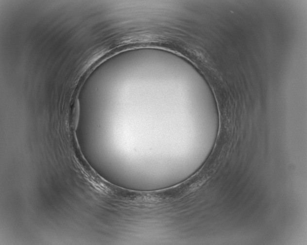 X0000059231073200511111542