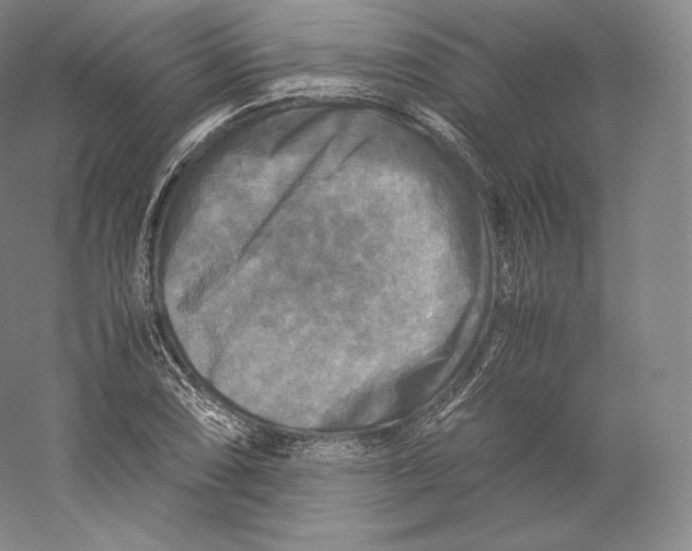 X0000059231074200511111542