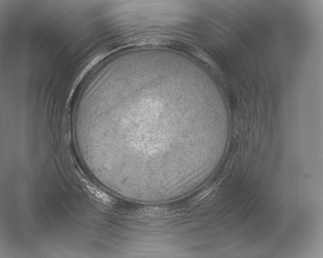 X0000059231075200511111542