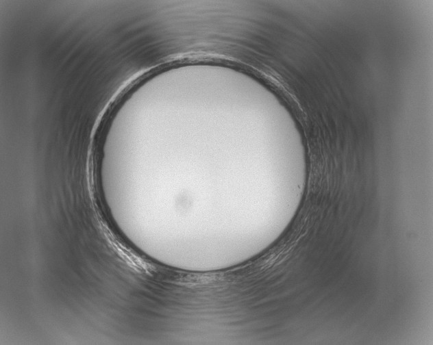 X0000059231076200511111542