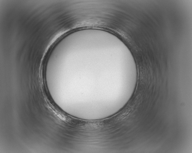 X0000059231078200511111542