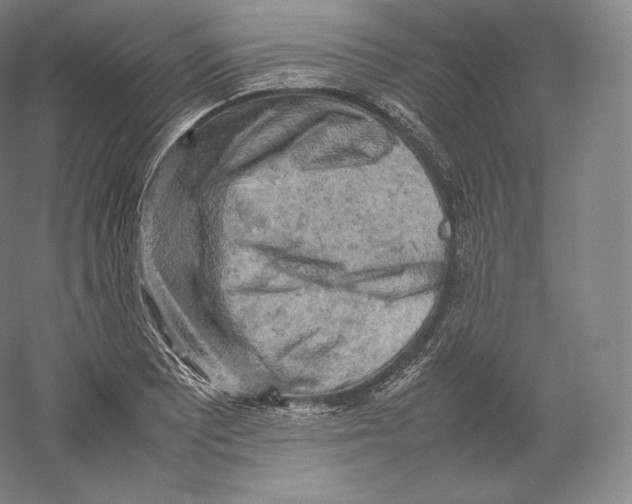 X0000059231081200511111542