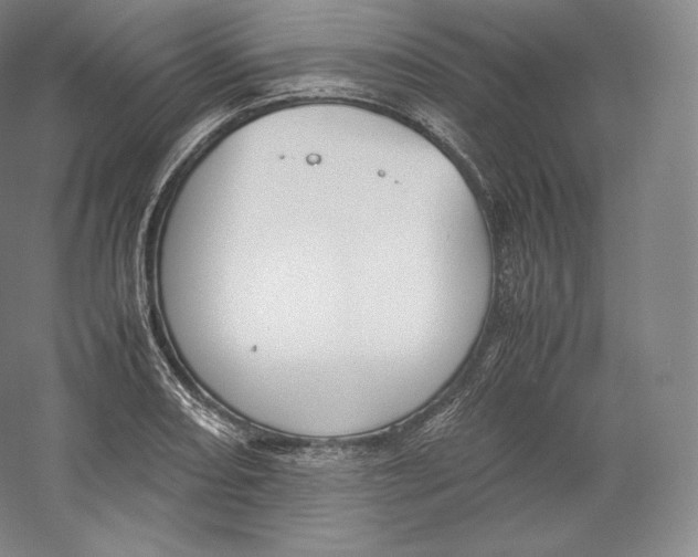 X0000059231082200511111542