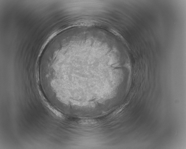 X0000059231083200511111542