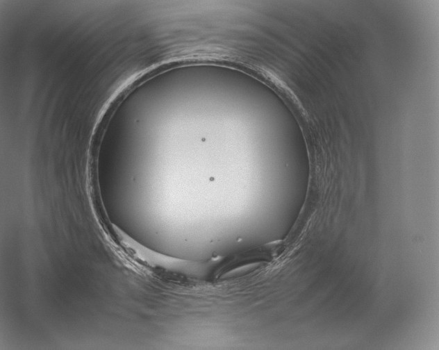 X0000059231085200511111542