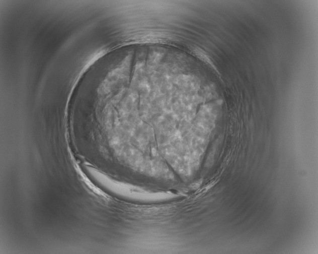 X0000059231087200511111542