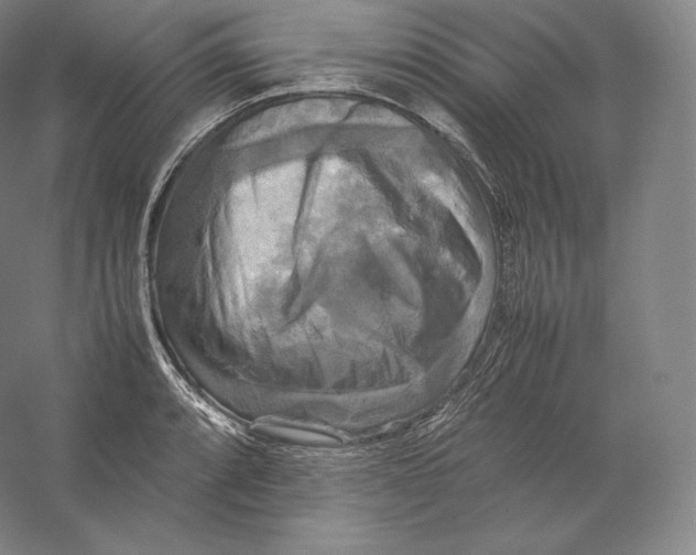 X0000059231088200511111542