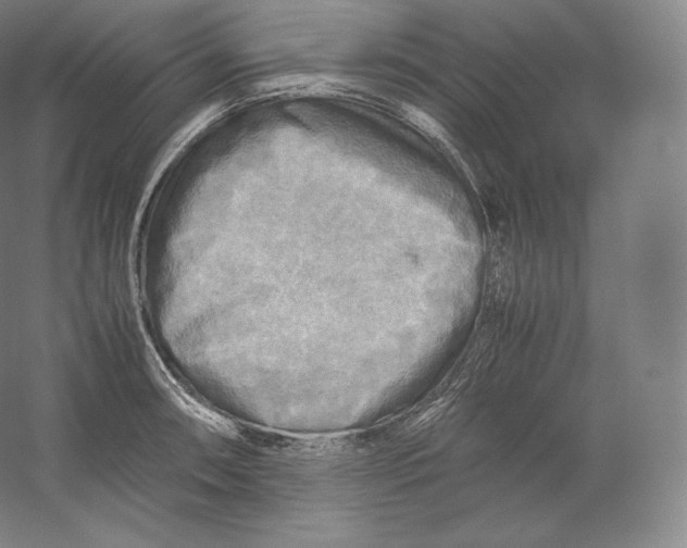 X0000059231090200511111542