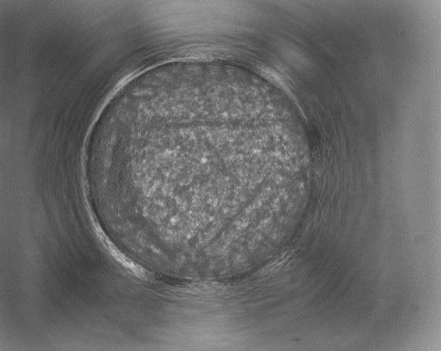 X0000059231091200511111542