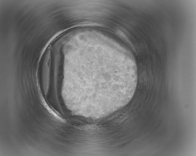 X0000059231092200511111542