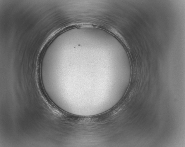 X0000059231093200511111542