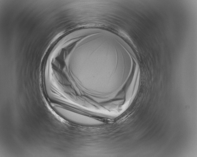 X0000059231095200511111542