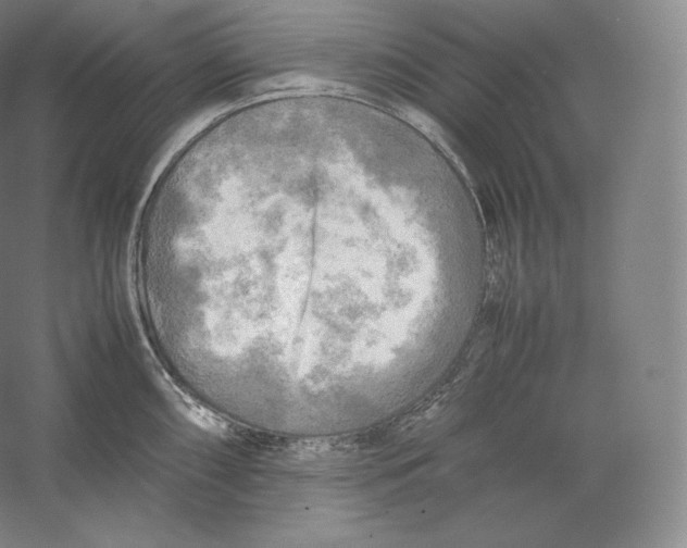 X0000059231098200511111542