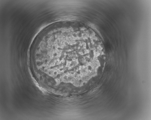 X0000059231099200511111542