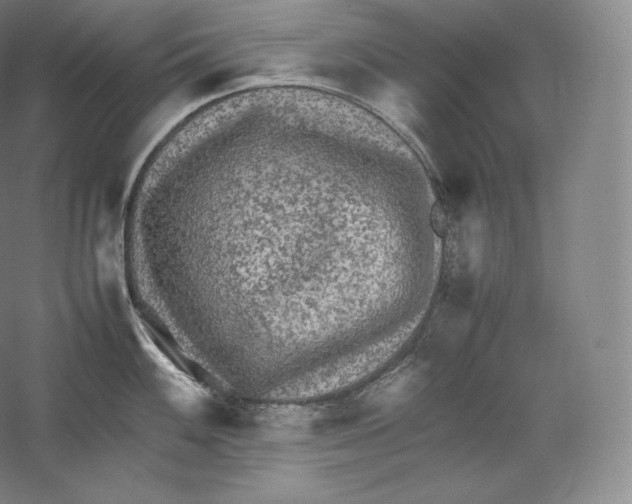 X0000059231100200511111542