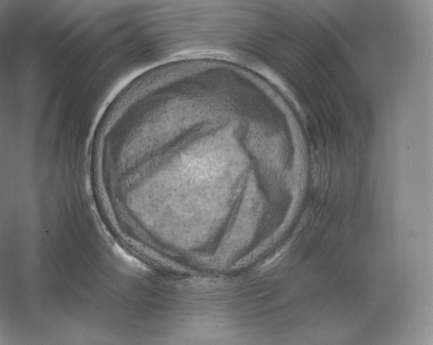 X0000059231102200511111542