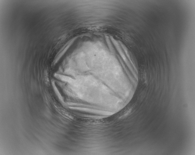 X0000059231106200511111541