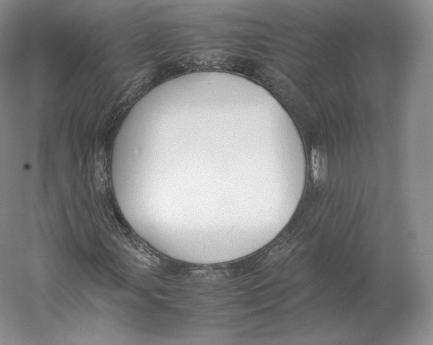 X0000059231107200511111541