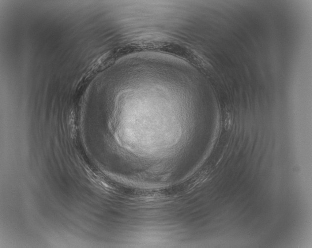 X0000059231108200511111541