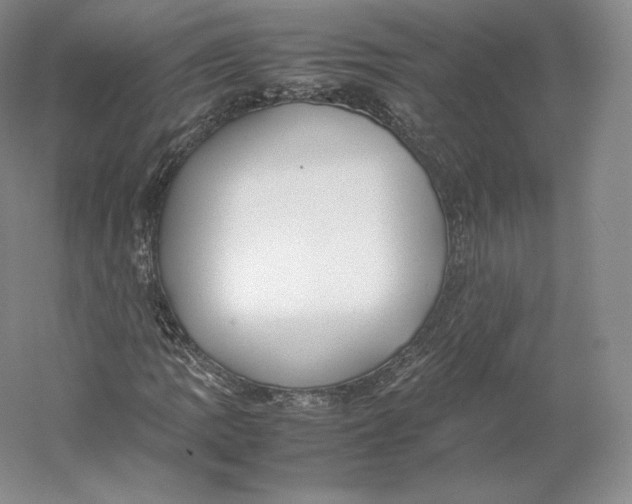 X0000059231109200511111541