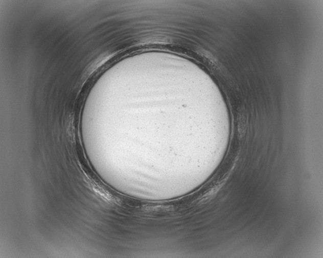 X0000059231113200511111541