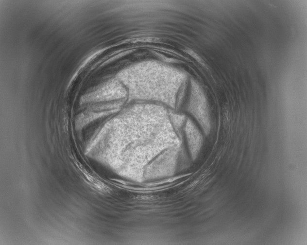 X0000059231115200511111541