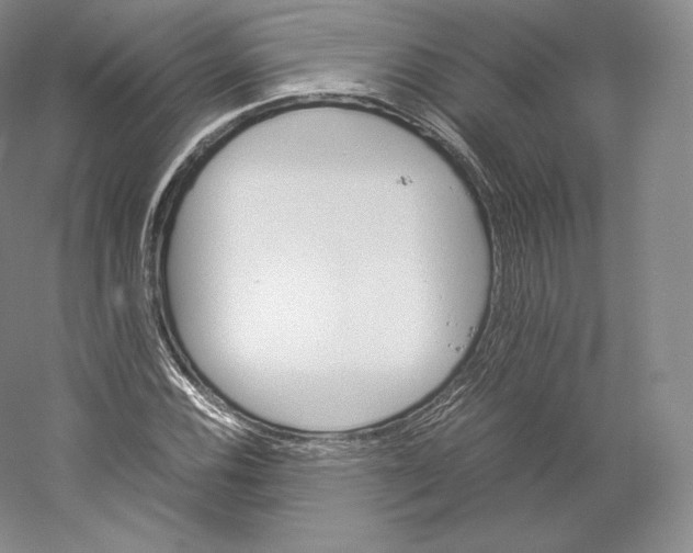 X0000059231116200511111541