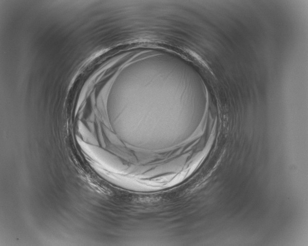 X0000059231117200511111541