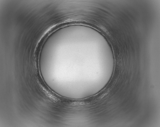 X0000059231118200511111541