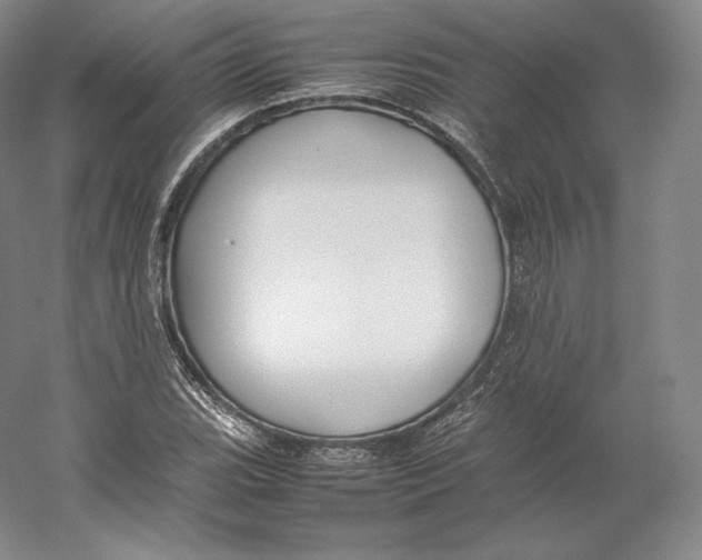 X0000059231119200511111541