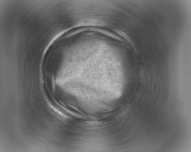 X0000059231120200511111541