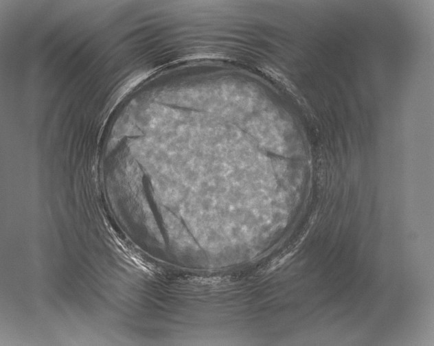 X0000059231121200511111541