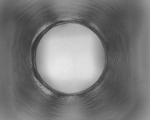 X0000059231122200511111541