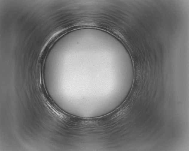 X0000059231123200511111541