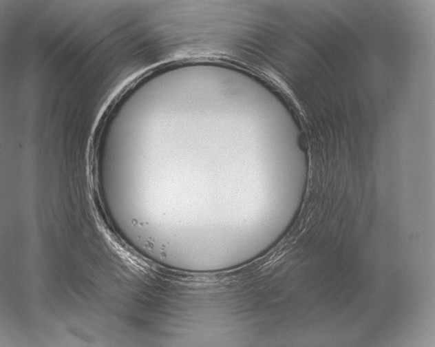 X0000059231124200511111541