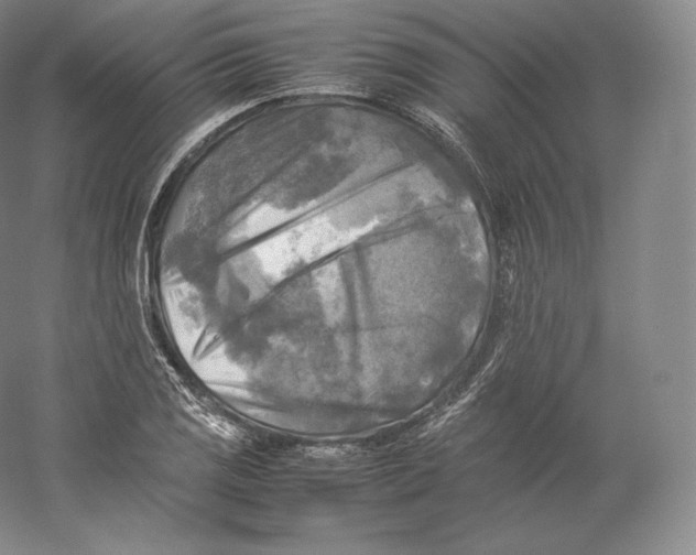 X0000059231125200511111541