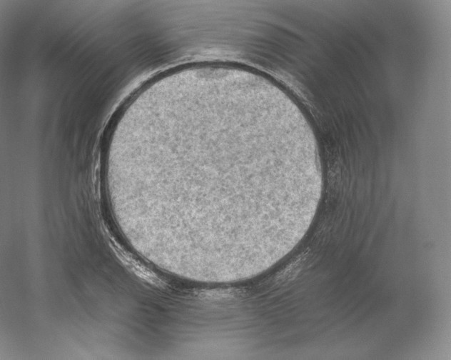 X0000059231126200511111541