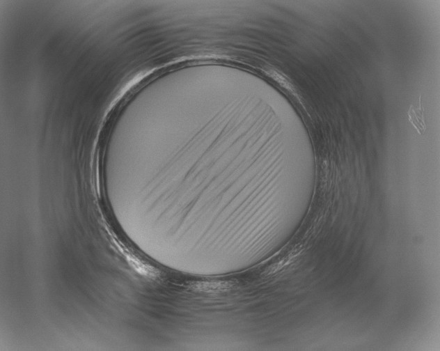 X0000059231127200511111541