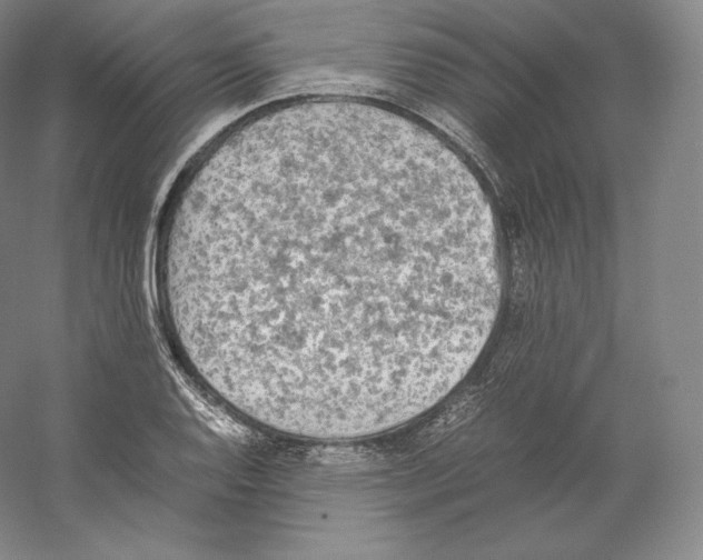 X0000059231128200511111541