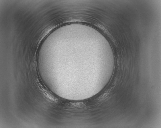 X0000059231129200511111541