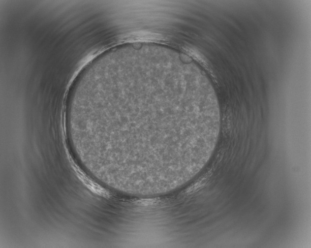 X0000059231130200511111541