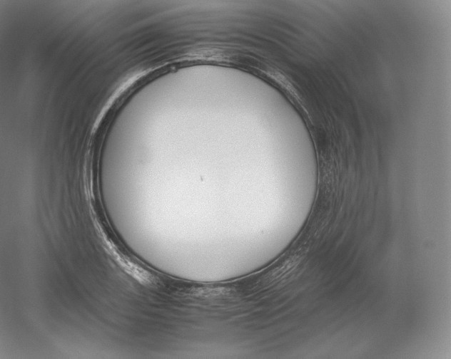 X0000059231131200511111541