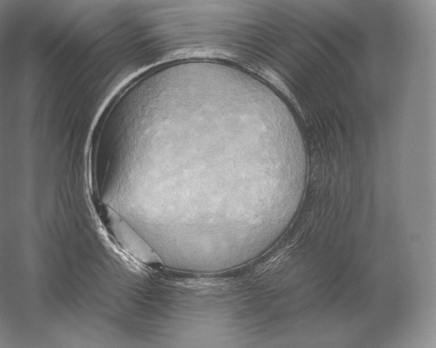 X0000059231132200511111541