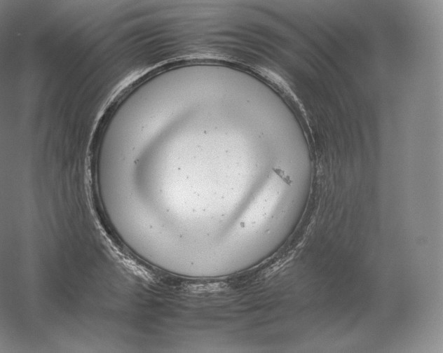 X0000059231133200511111541