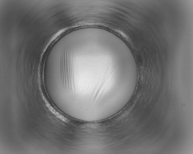 X0000059231134200511111541