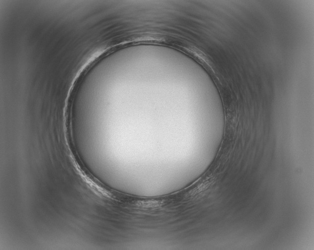 X0000059231135200511111541