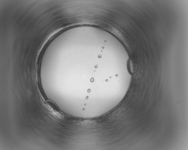 X0000059231140200511111541