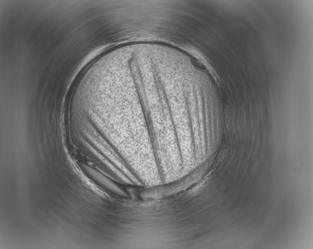 X0000059231142200511111541